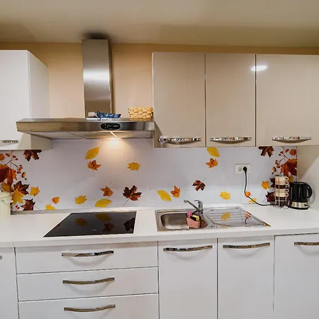 Lela With Sauna * Kranjska Gora